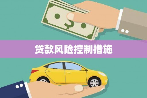 中正贷款风险控制措施