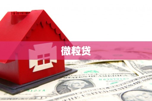 中正微粒贷