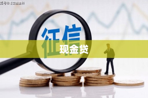 中正现金贷