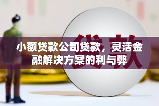 中正小额贷款公司贷款，灵活金融解决方案的利与弊
