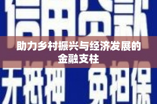 中正助力乡村振兴与经济发展的金融支柱