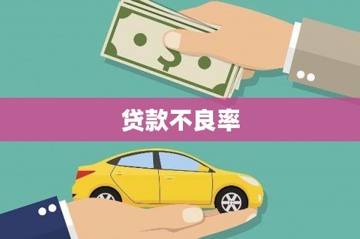 中正贷款不良率