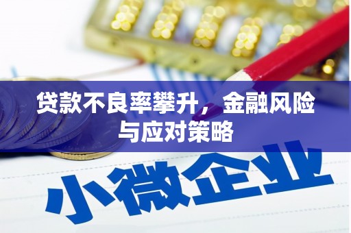 中正贷款不良率攀升，金融风险与应对策略