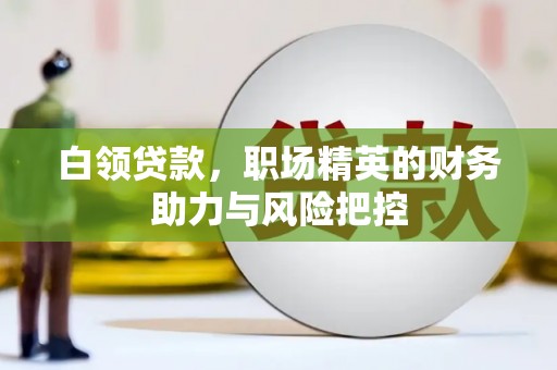 中正白领贷款，职场精英的财务助力与风险把控