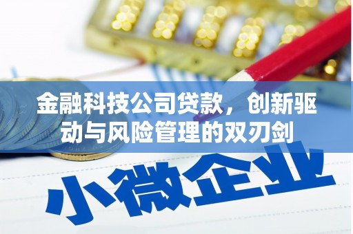 中正金融科技公司贷款，创新驱动与风险管理的双刃剑