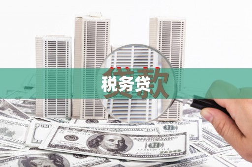 中正税务贷