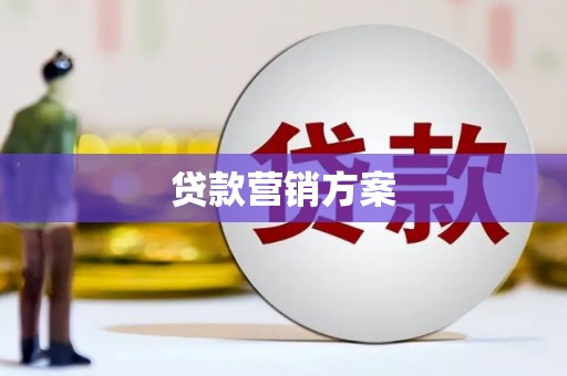 中正贷款营销方案